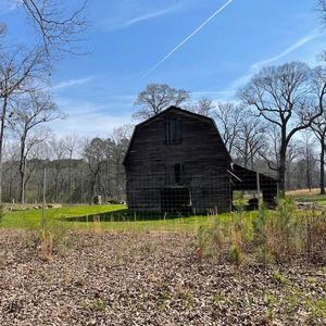 Meet your Posher, Shirley